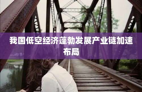 我国低空经济蓬勃发展产业链加速布局