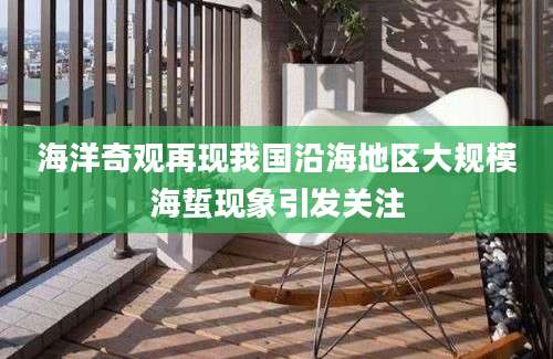海洋奇观再现我国沿海地区大规模海蜇现象引发关注