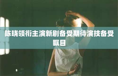 陈晓领衔主演新剧备受期待演技备受瞩目