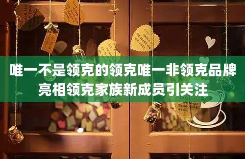 唯一不是领克的领克唯一非领克品牌亮相领克家族新成员引关注