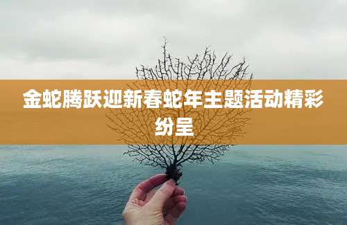 金蛇腾跃迎新春蛇年主题活动精彩纷呈