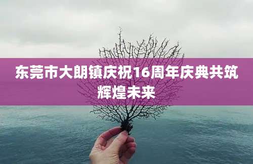 东莞市大朗镇庆祝16周年庆典共筑辉煌未来