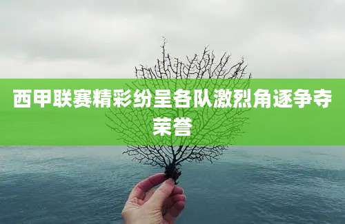 西甲联赛精彩纷呈各队激烈角逐争夺荣誉