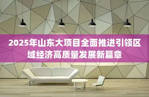 2025年山东大项目全面推进引领区域经济高质量发展新篇章