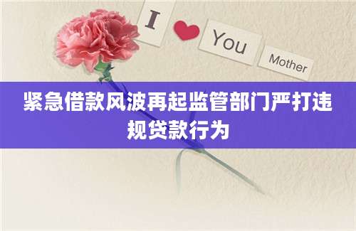 紧急借款风波再起监管部门严打违规贷款行为
