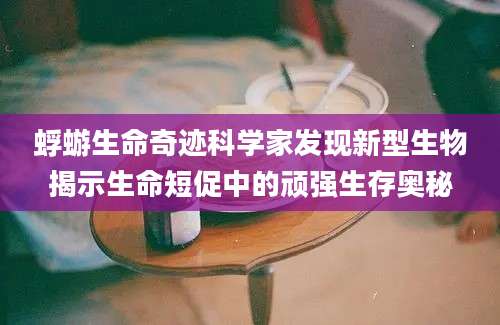 蜉蝣生命奇迹科学家发现新型生物揭示生命短促中的顽强生存奥秘