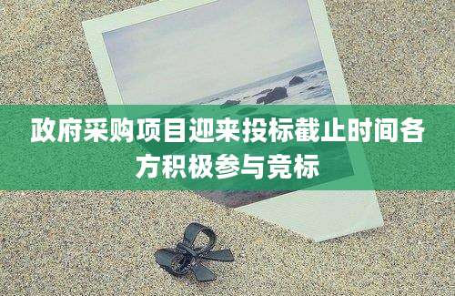 政府采购项目迎来投标截止时间各方积极参与竞标