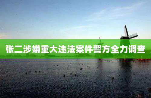 张二涉嫌重大违法案件警方全力调查