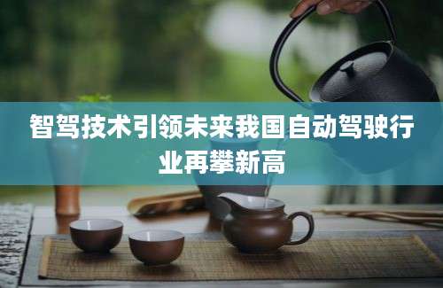 智驾技术引领未来我国自动驾驶行业再攀新高