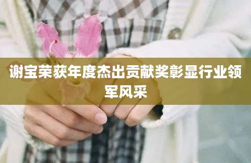 谢宝荣获年度杰出贡献奖彰显行业领军风采
