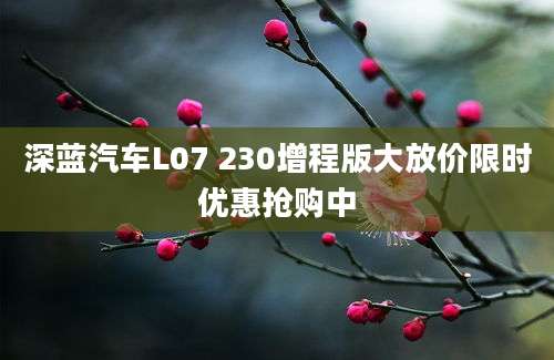 深蓝汽车L07 230增程版大放价限时优惠抢购中