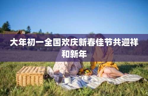 大年初一全国欢庆新春佳节共迎祥和新年
