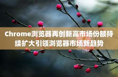 Chrome浏览器再创新高市场份额持续扩大引领浏览器市场新趋势