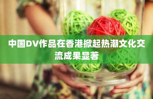 中国DV作品在香港掀起热潮文化交流成果显著