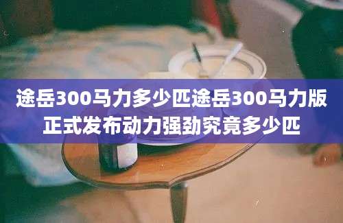 途岳300马力多少匹途岳300马力版正式发布动力强劲究竟多少匹
