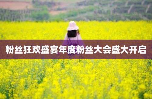 粉丝狂欢盛宴年度粉丝大会盛大开启