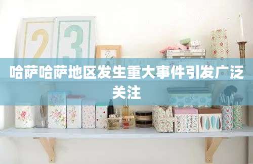 哈萨哈萨地区发生重大事件引发广泛关注