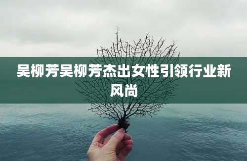 吴柳芳吴柳芳杰出女性引领行业新风尚