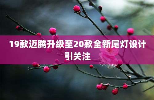 19款迈腾升级至20款全新尾灯设计引关注