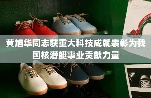 黄旭华同志获重大科技成就表彰为我国核潜艇事业贡献力量