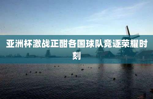 亚洲杯激战正酣各国球队竞逐荣耀时刻
