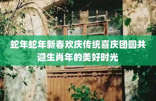 蛇年蛇年新春欢庆传统喜庆团圆共迎生肖年的美好时光