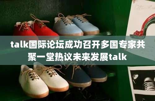 talk国际论坛成功召开多国专家共聚一堂热议未来发展talk