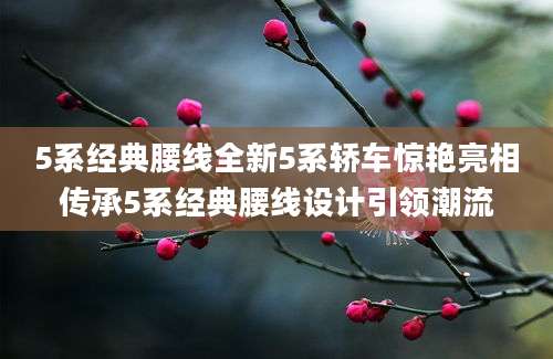 5系经典腰线全新5系轿车惊艳亮相传承5系经典腰线设计引领潮流