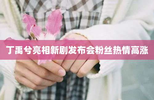 丁禹兮亮相新剧发布会粉丝热情高涨