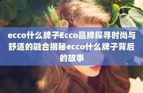 ecco什么牌子Ecco品牌探寻时尚与舒适的融合揭秘ecco什么牌子背后的故事