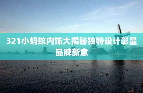 321小蚂蚁内饰大揭秘独特设计彰显品牌新意