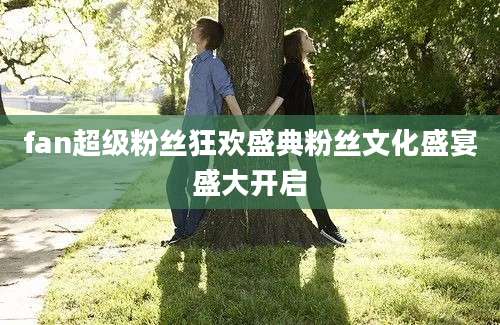 fan超级粉丝狂欢盛典粉丝文化盛宴盛大开启