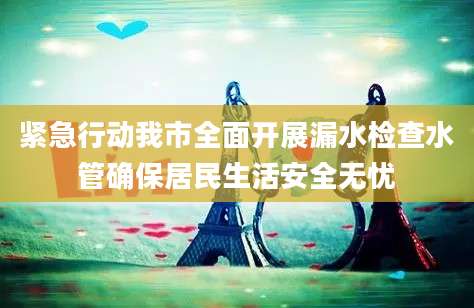紧急行动我市全面开展漏水检查水管确保居民生活安全无忧