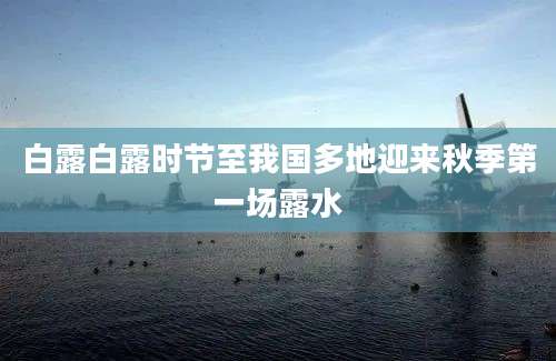 白露白露时节至我国多地迎来秋季第一场露水