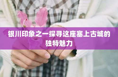 银川印象之一探寻这座塞上古城的独特魅力