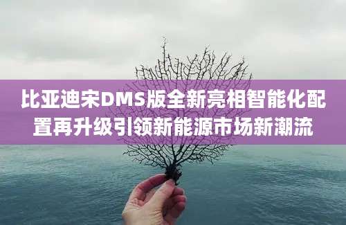 比亚迪宋DMS版全新亮相智能化配置再升级引领新能源市场新潮流