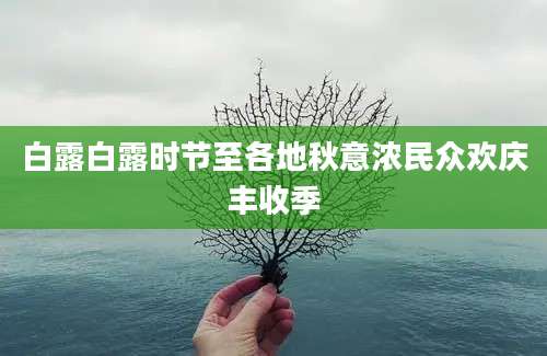 白露白露时节至各地秋意浓民众欢庆丰收季