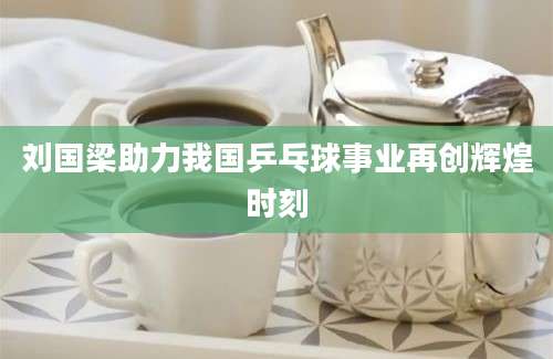 刘国梁助力我国乒乓球事业再创辉煌时刻