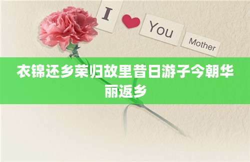 衣锦还乡荣归故里昔日游子今朝华丽返乡