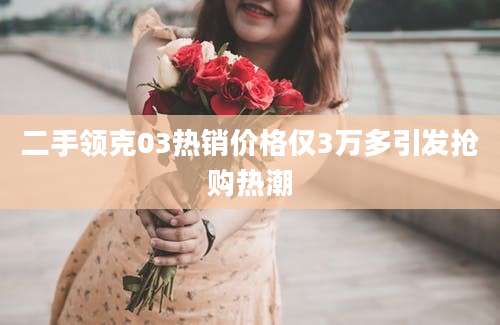 二手领克03热销价格仅3万多引发抢购热潮