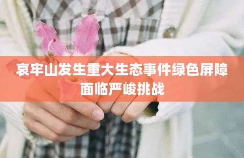 哀牢山发生重大生态事件绿色屏障面临严峻挑战
