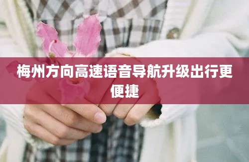 梅州方向高速语音导航升级出行更便捷