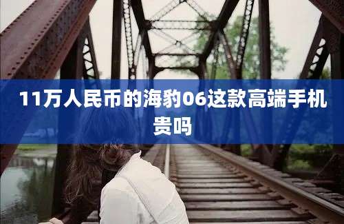 11万人民币的海豹06这款高端手机贵吗