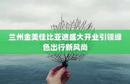 兰州金美佳比亚迪盛大开业引领绿色出行新风尚