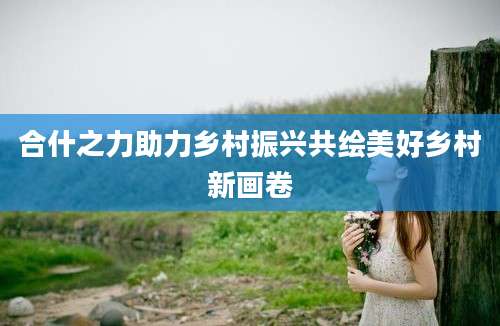合什之力助力乡村振兴共绘美好乡村新画卷