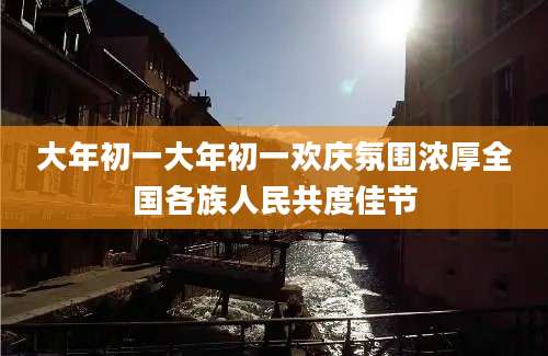 大年初一大年初一欢庆氛围浓厚全国各族人民共度佳节