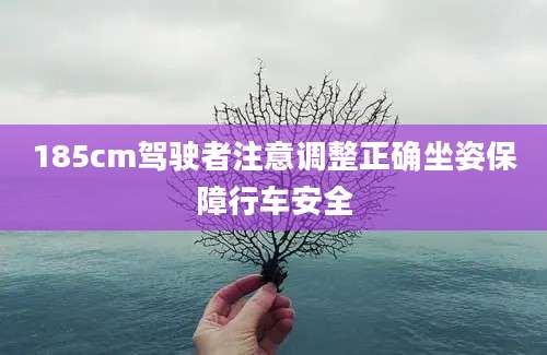185cm驾驶者注意调整正确坐姿保障行车安全