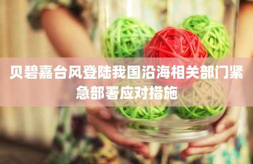 贝碧嘉台风登陆我国沿海相关部门紧急部署应对措施