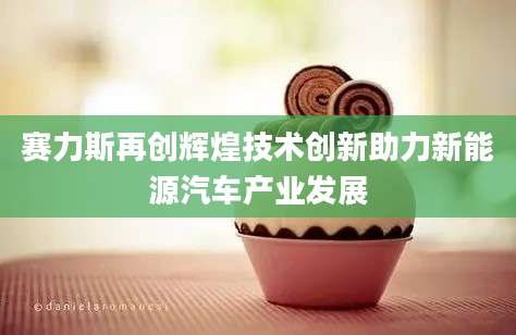 赛力斯再创辉煌技术创新助力新能源汽车产业发展