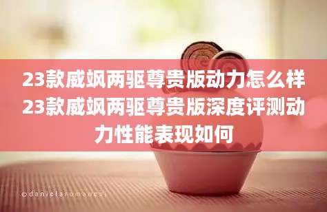 23款威飒两驱尊贵版动力怎么样23款威飒两驱尊贵版深度评测动力性能表现如何